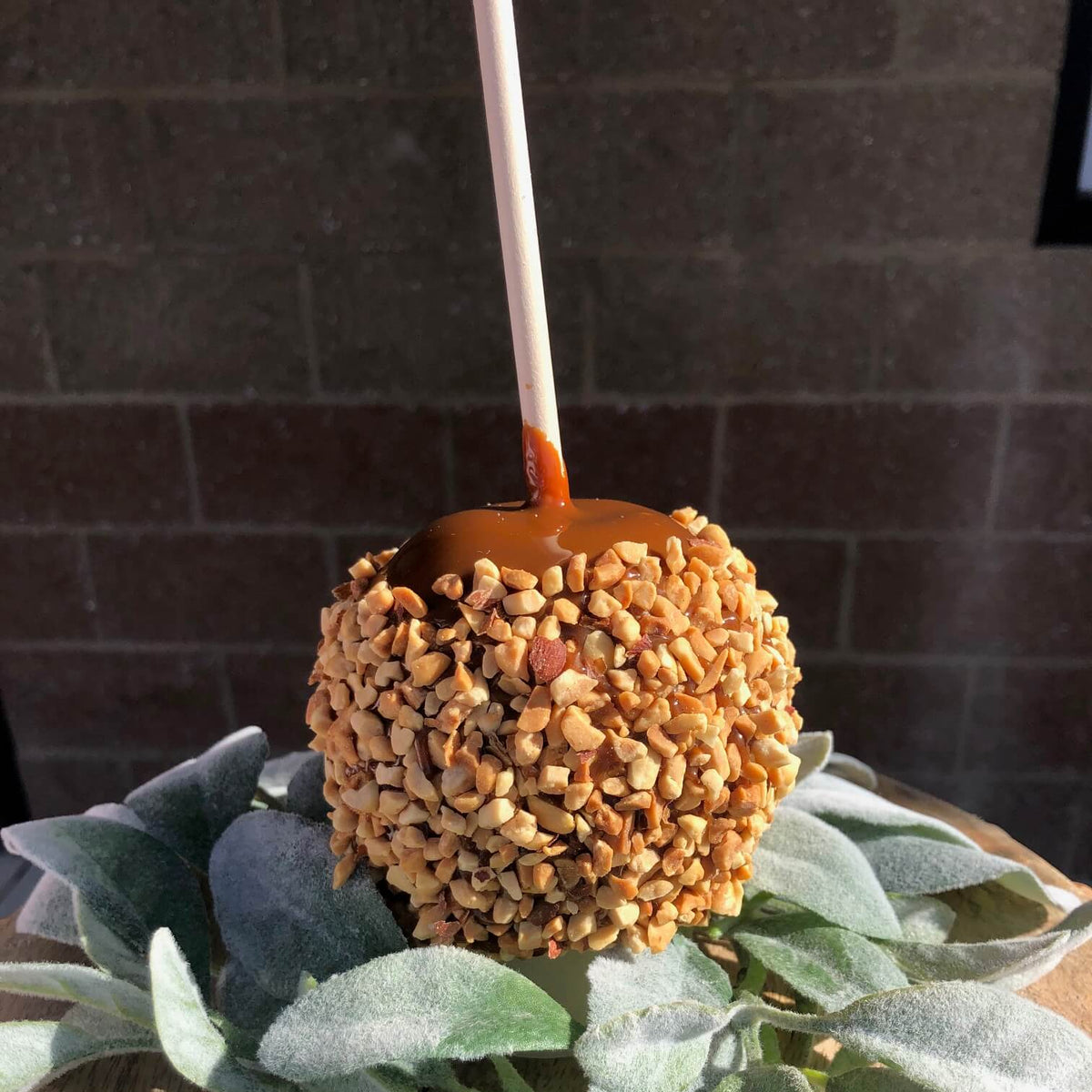 Classic Caramel Apple with Peanuts Order Online Apples Gone Wild